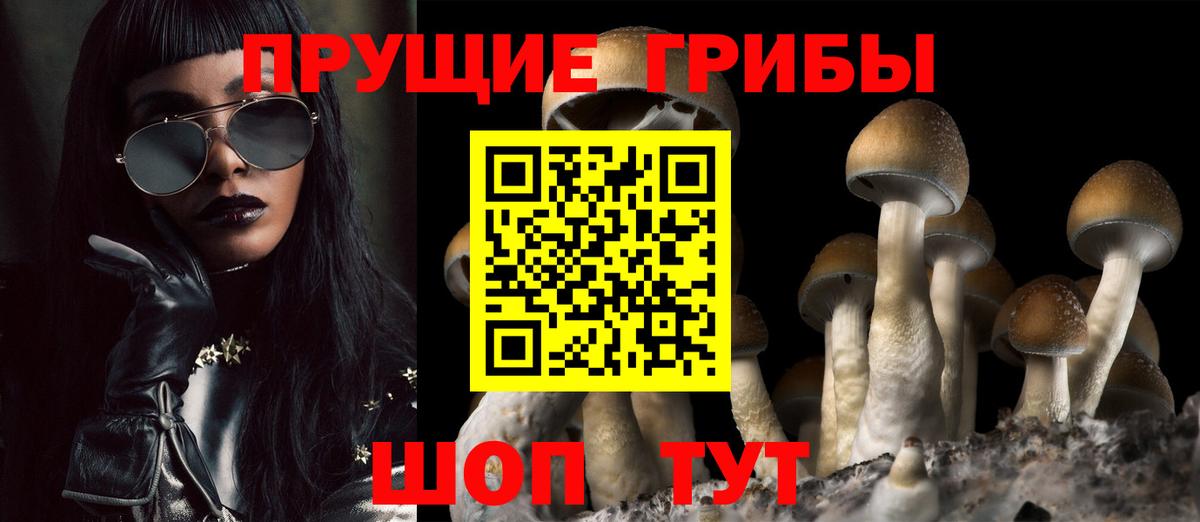 Псилоцибиновые грибы прущие грибы  Вход с VPN  где можно купить наркотик  Похвистнево  Галлюциногенные грибы Psilocybe 